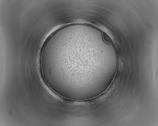 X0000115281142200911131823