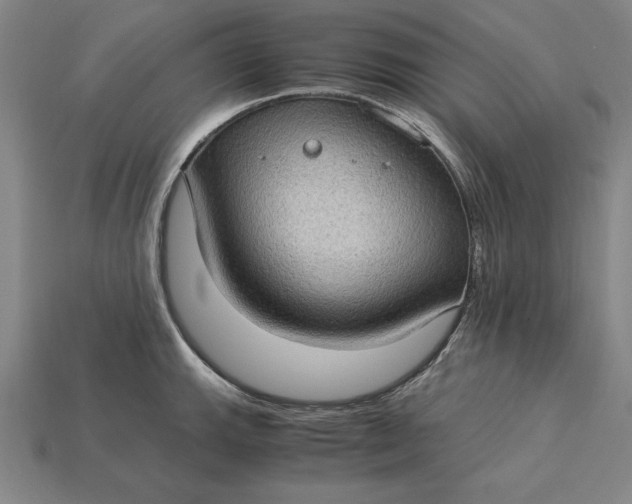 X0000115281143200911131823