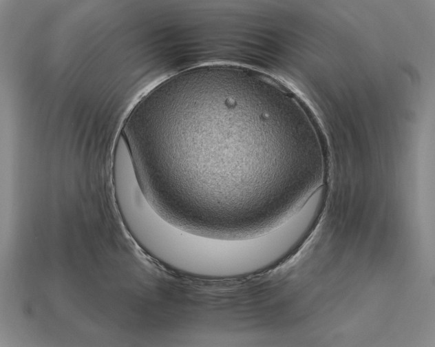 X0000115281145200911131823