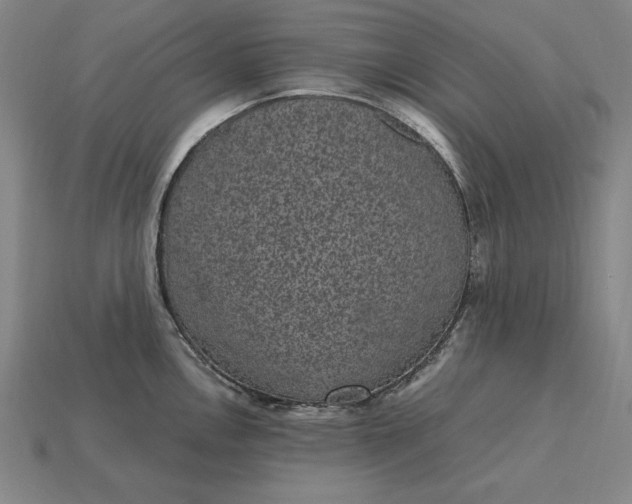 X0000115281146200911131823