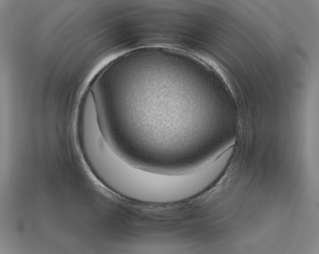 X0000115281147200911131823