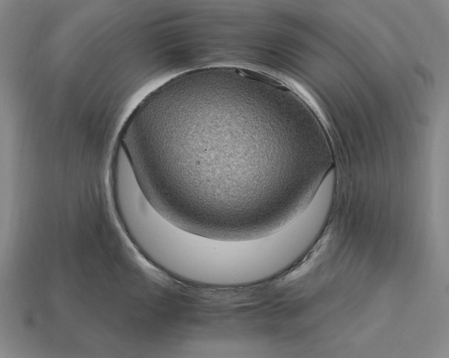 X0000115281149200911131823