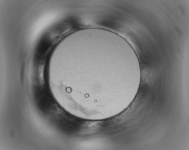 X0000115281150200911131823