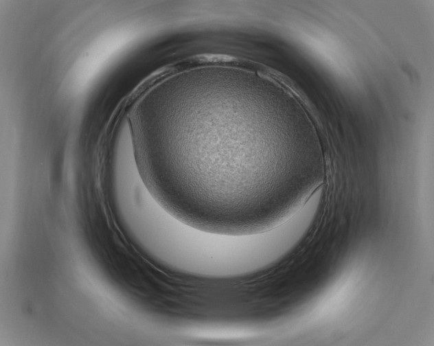 X0000115281151200911131823