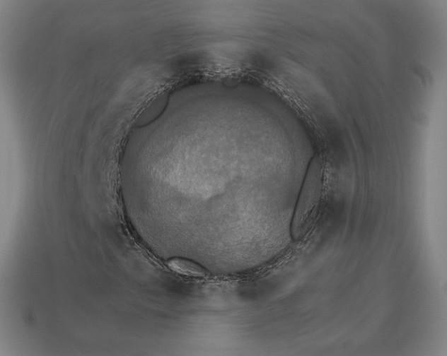 X0000115281153200911131823