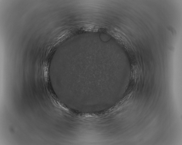 X0000115281154200911131823