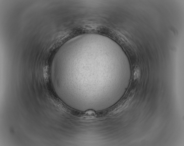 X0000115281156200911131823