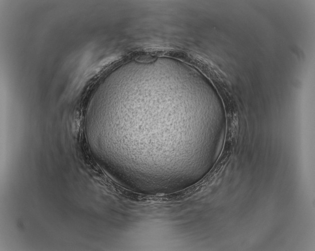 X0000115281157200911131823