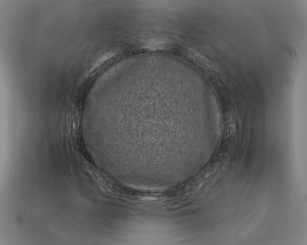 X0000115281158200911131822