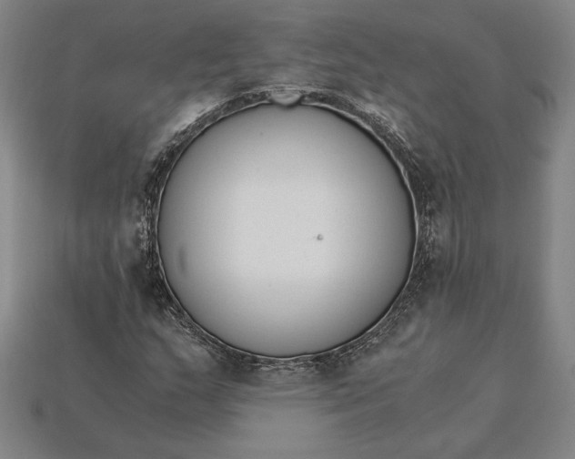 X0000115281159200911131822