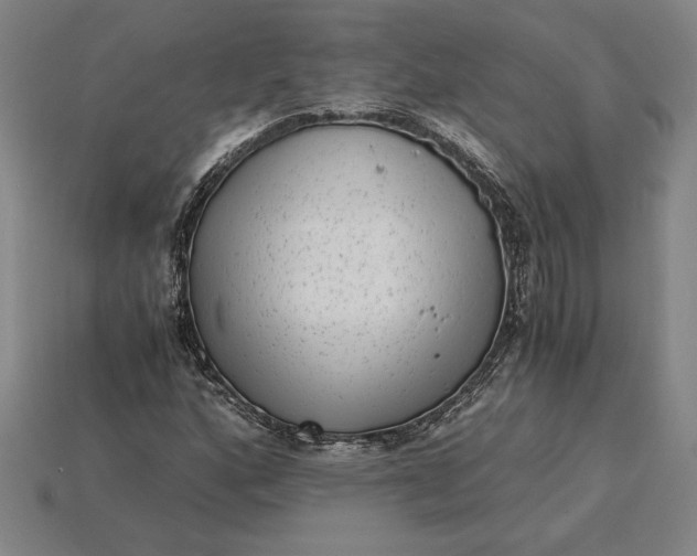 X0000115281160200911131822