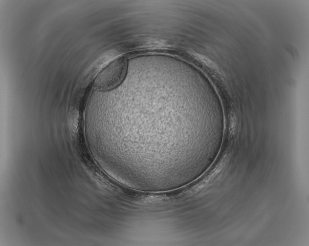 X0000115281161200911131822