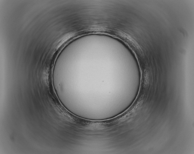 X0000115281162200911131822