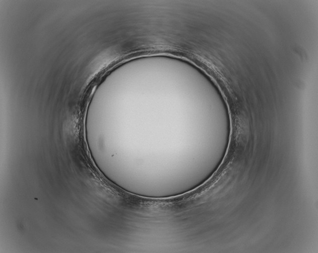 X0000115281163200911131822