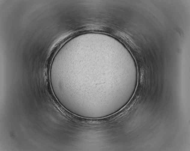 X0000115281164200911131822