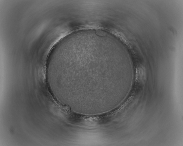 X0000115281165200911131822