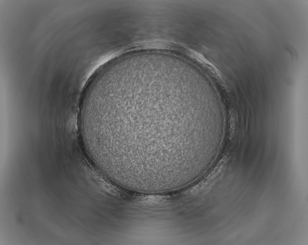 X0000115281166200911131822