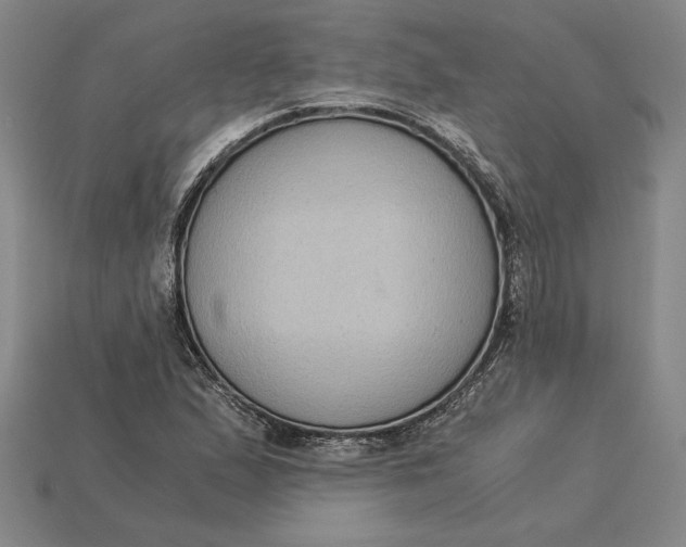 X0000115281167200911131822