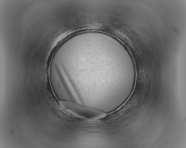 X0000115281168200911131822