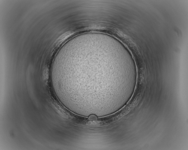 X0000115281169200911131822