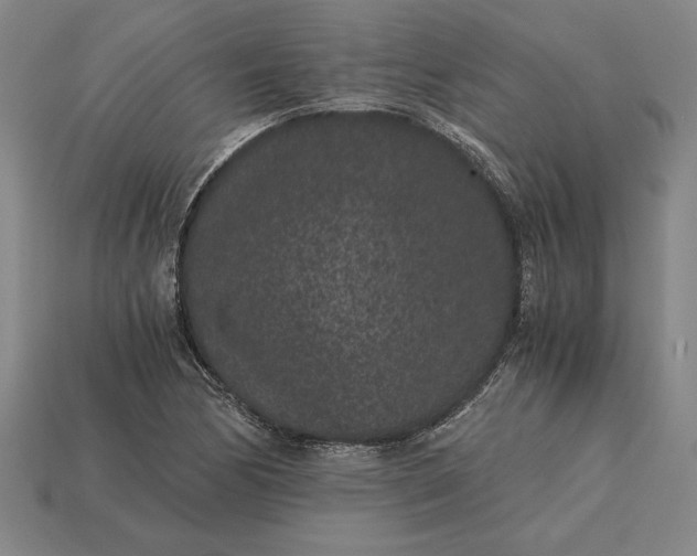 X0000115281170200911131822