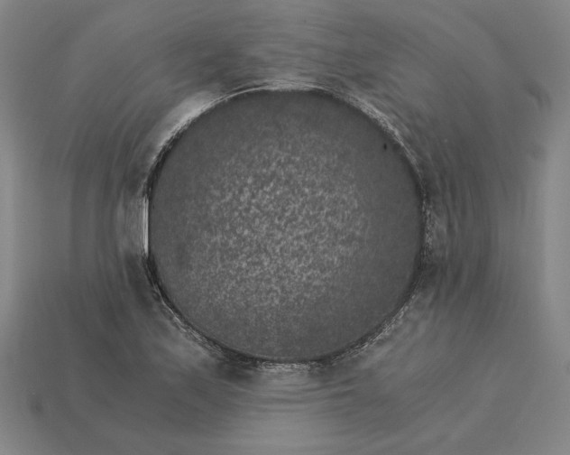 X0000115281171200911131822