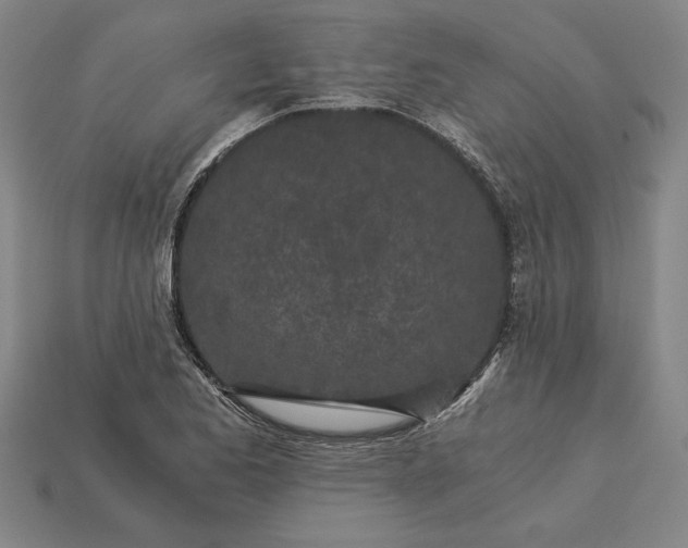 X0000115281173200911131822