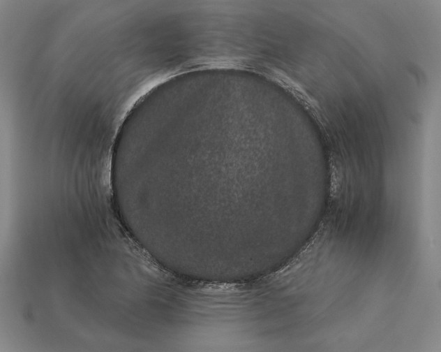 X0000115281174200911131822