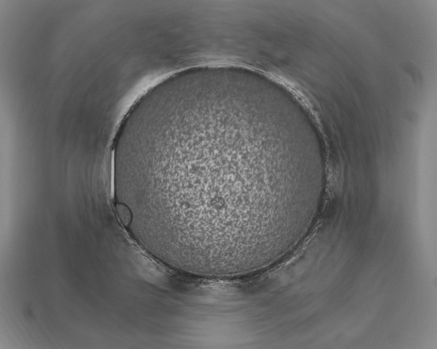 X0000115281175200911131822