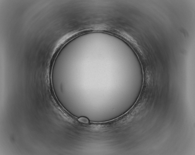 X0000115281176200911131822