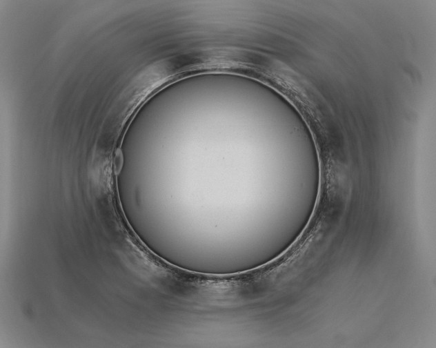 X0000115281177200911131822