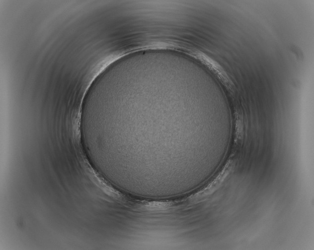 X0000115281178200911131822