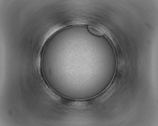 X0000115281179200911131822