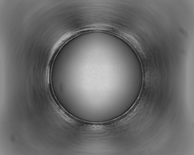 X0000115281180200911131822