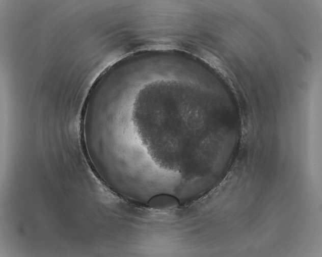 X0000115281181200911131822