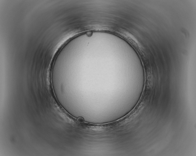 X0000115281182200911131822