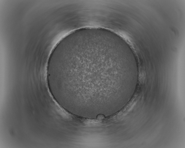 X0000115281183200911131822