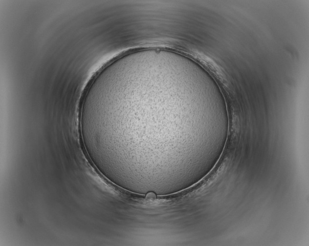 X0000115281184200911131822