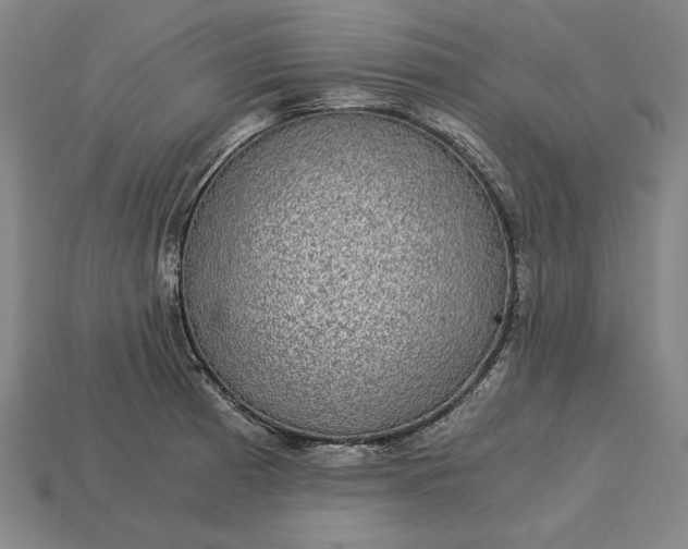 X0000115281185200911131822