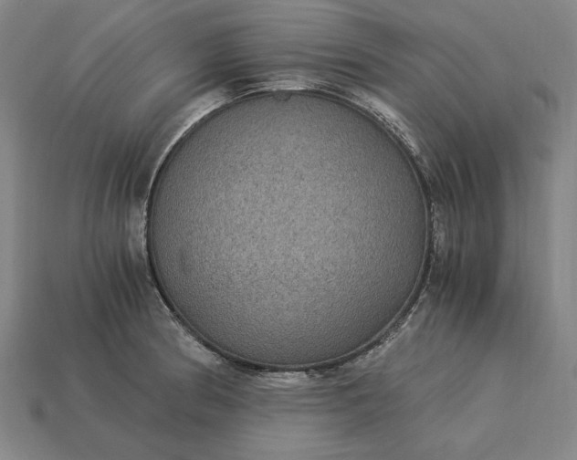 X0000115281186200911131822