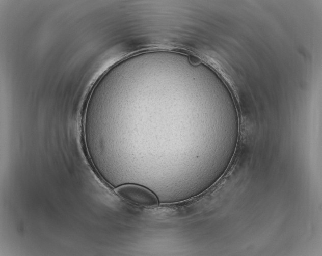 X0000115281187200911131822