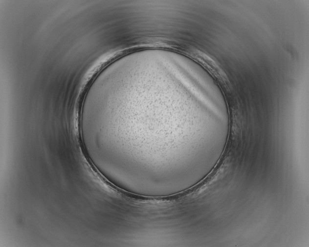 X0000115281188200911131822