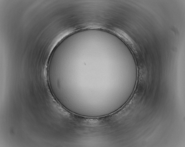 X0000115281190200911131822