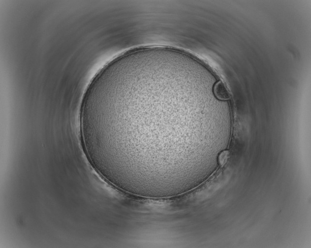 X0000115281191200911131822