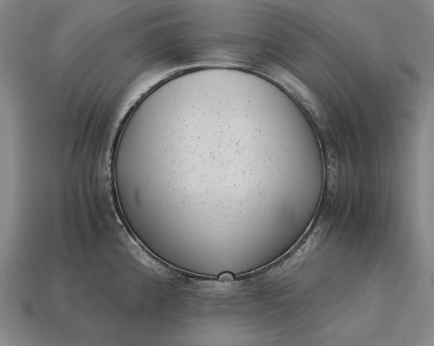 X0000115281192200911131822