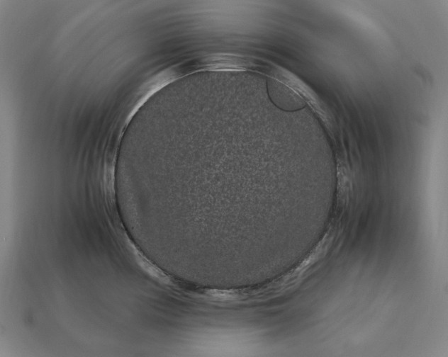 X0000115281194200911131822