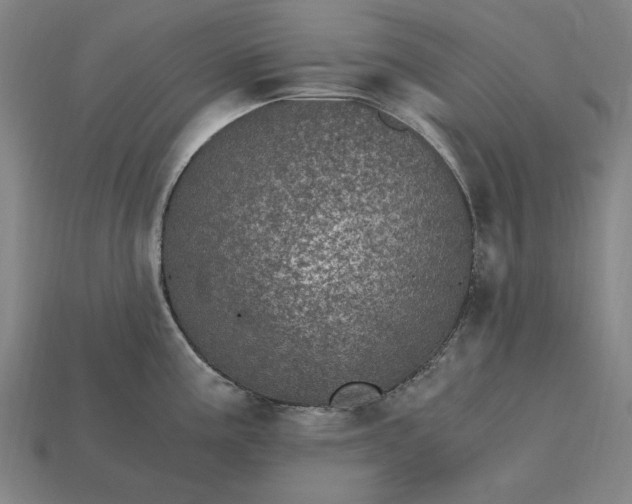 X0000115281195200911131822