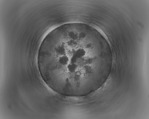 X0000115281197200911131822