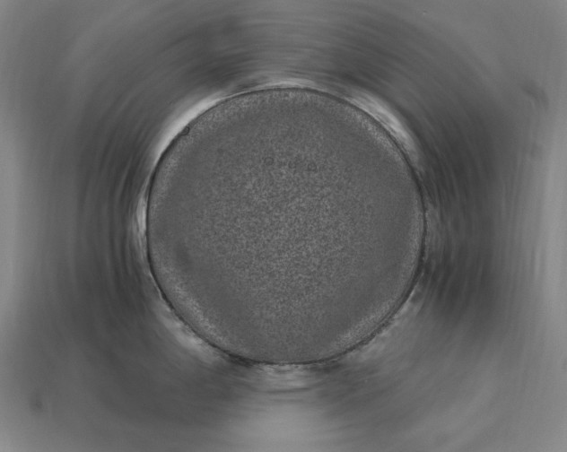 X0000115281198200911131822