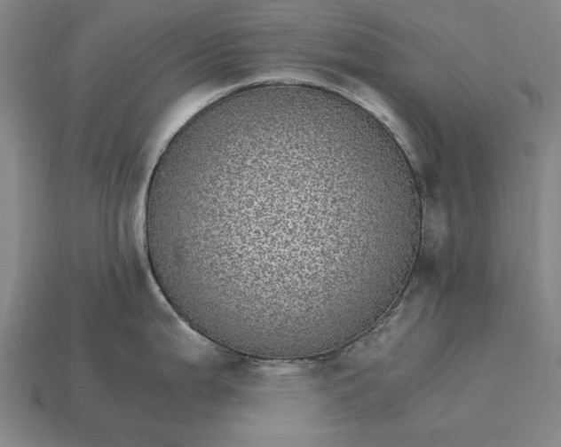 X0000115281199200911131822